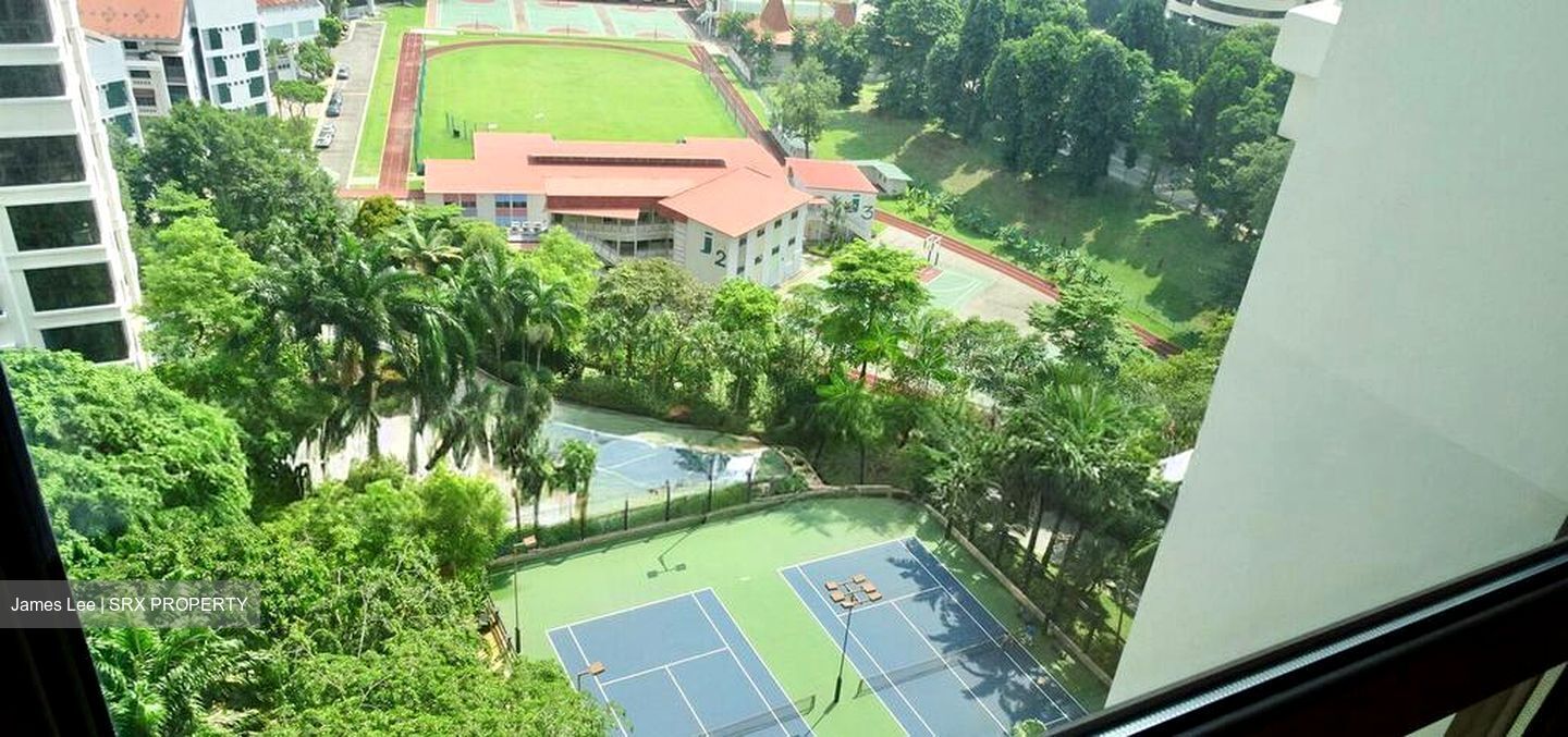 Ardmore Park (D10), Condominium #499663491